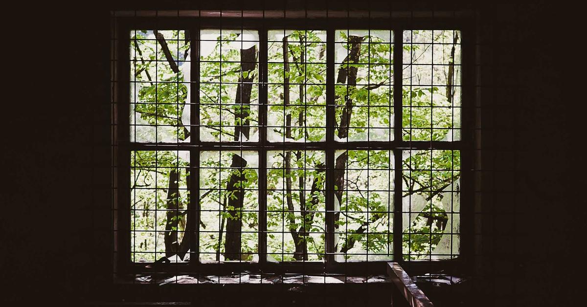 Illustration of overlapping neural patterns representing AuDHD, the co-occurrence of autism and ADHD