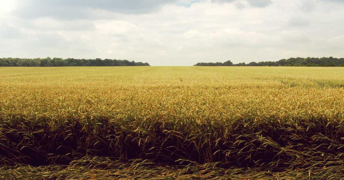 Colorectal cancer under 40 - rising cases and red flags