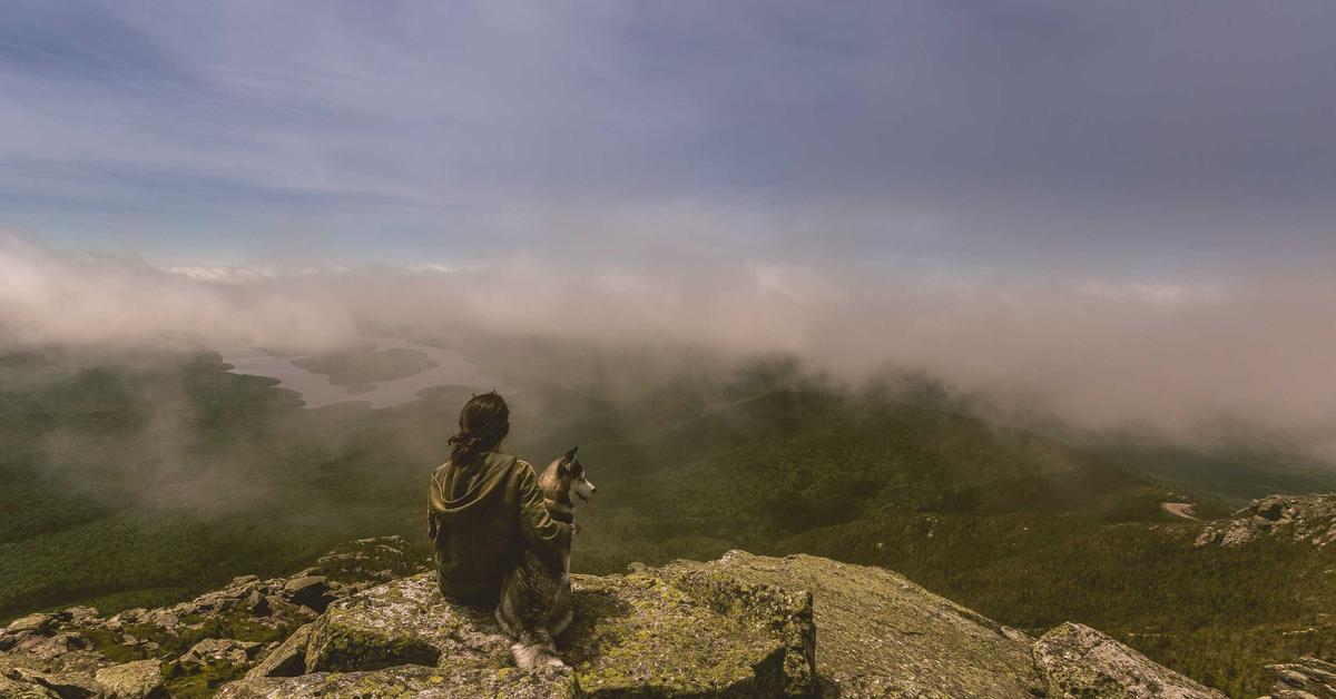 Brain cross-section showing cerebrospinal fluid flow through glymphatic channels during deep sleep