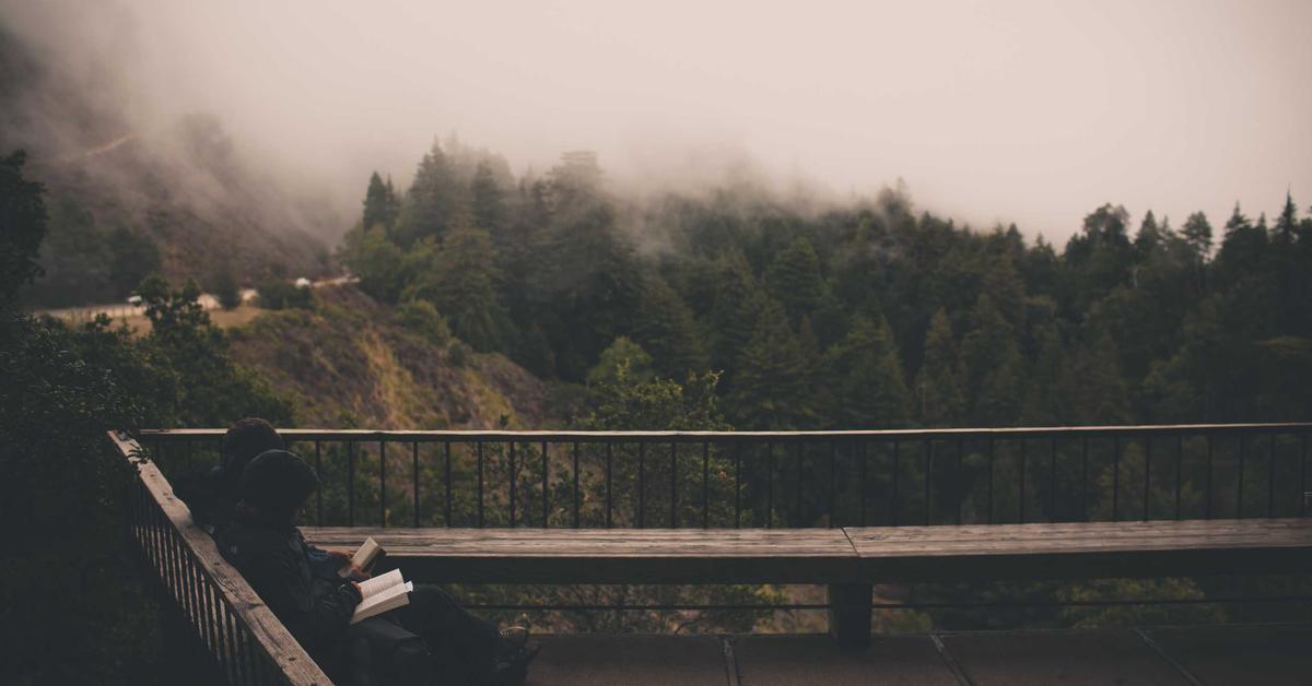 Lavender plant and supplement capsule representing Silexan evidence-based anxiety treatment