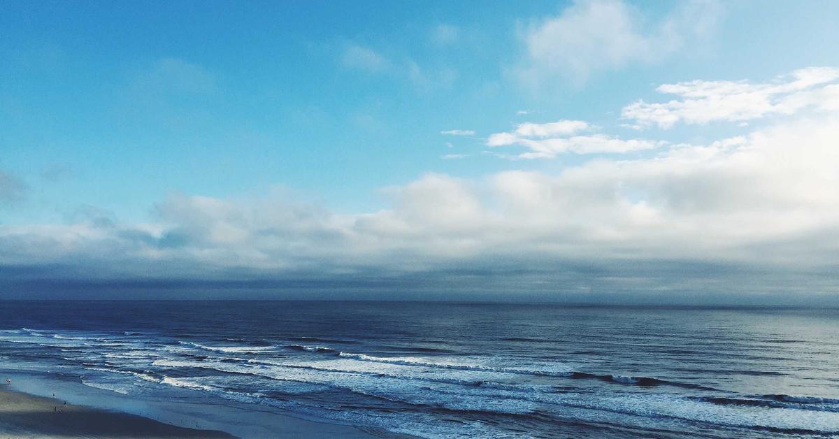 Why body burns muscle instead of fat - protocol to stop it