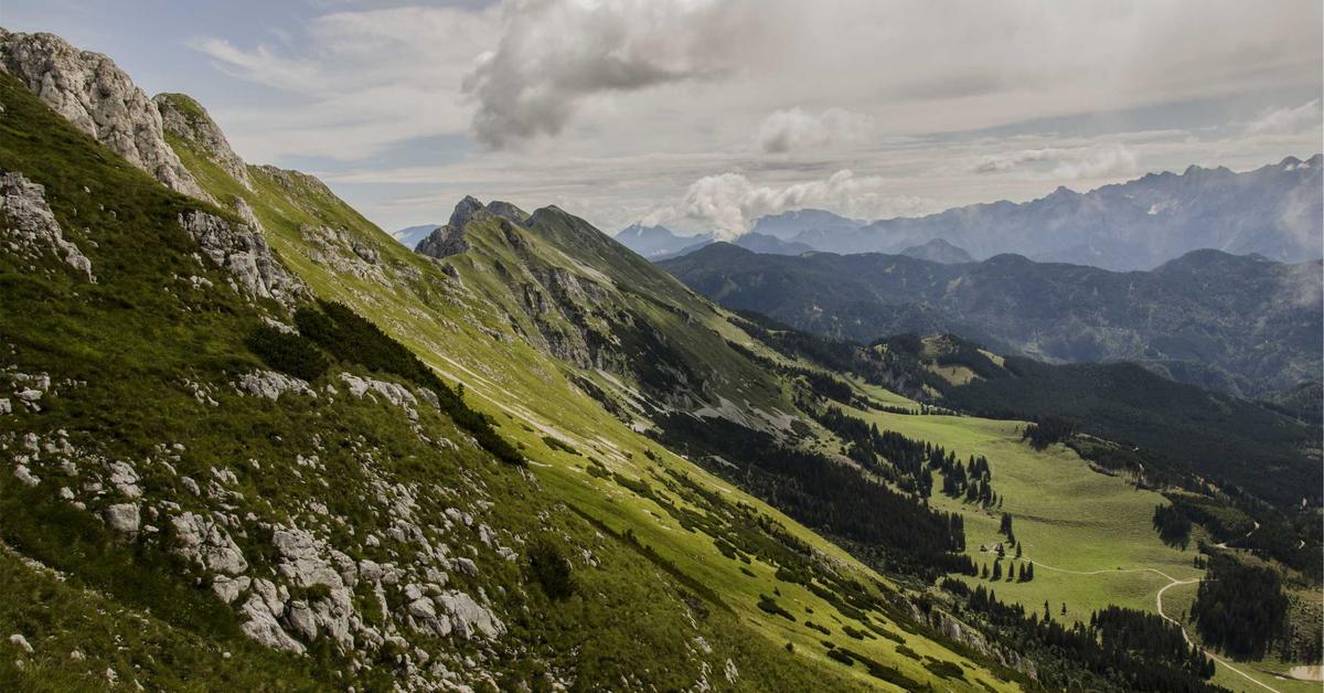 Brain development illustration showing prefrontal cortex maturation timeline in young adults